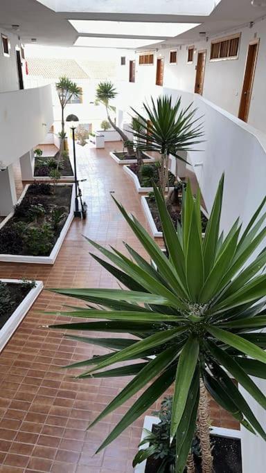Ferienwohnung Modern,Strandnaehe, Club Olympus, Garten City Tenerife Playa Fanabe Luaran gambar